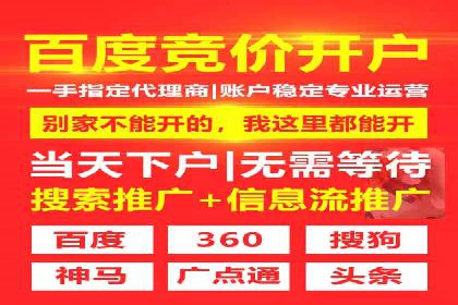 某企业SEM竞价员如何应对竞争的案例研究